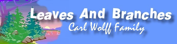 Carl Wolff Banner
