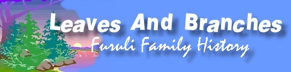 Furuli Family Banner