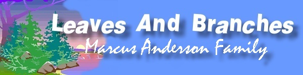 Marcus Anderson Banner