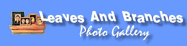 Photo Gallery Banner